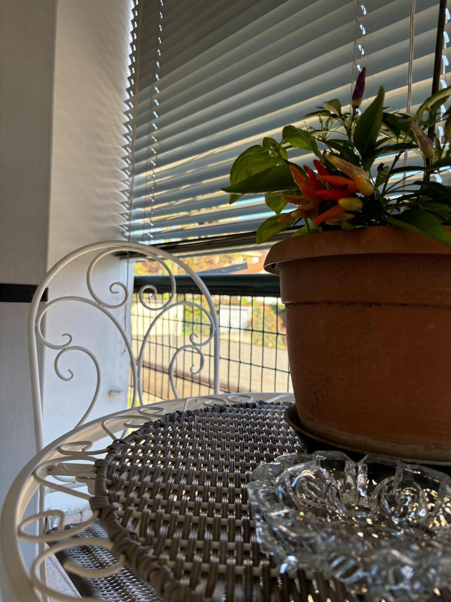 B&B Stella Somma Lombardo Extérieur photo